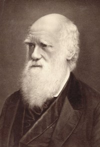 darwin_evolution_14_600